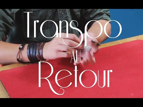 Alan Borg - Transpo au Retour