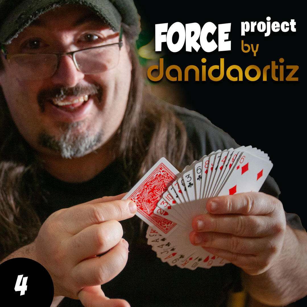 Coincidences by Dani DaOrtiz (Force Project Chapter 4) (Instant Download)