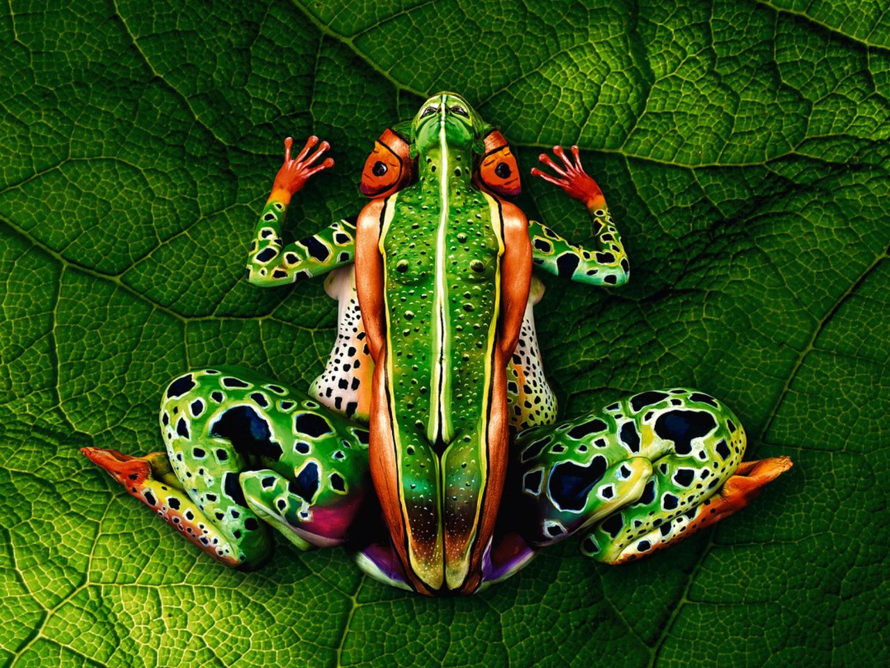 Use Your Illusions by Barry Fazackerley (official PDF eBook Download)