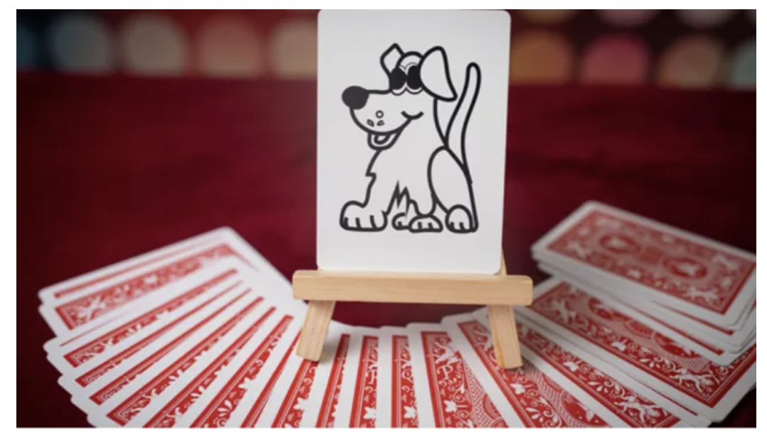 Magical Visions by Matthew Wright (Full Download)