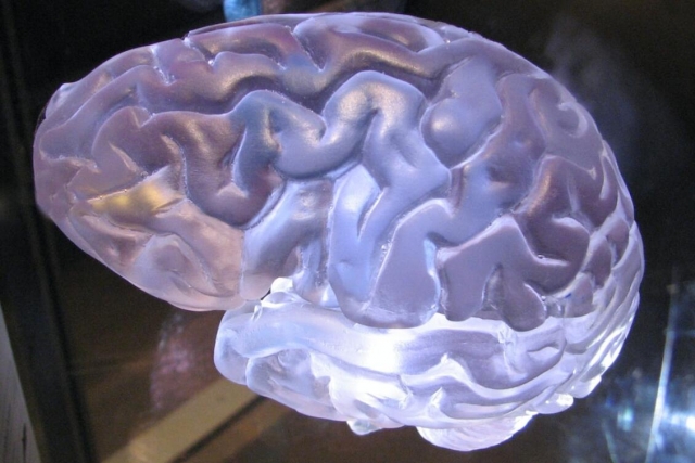 Mental Thoughts Vol 3 by Kassim Beydoun (PDF eBook Download)